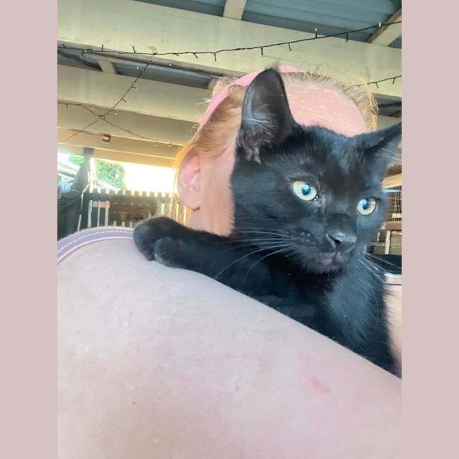 Photo of Prada & Vadar