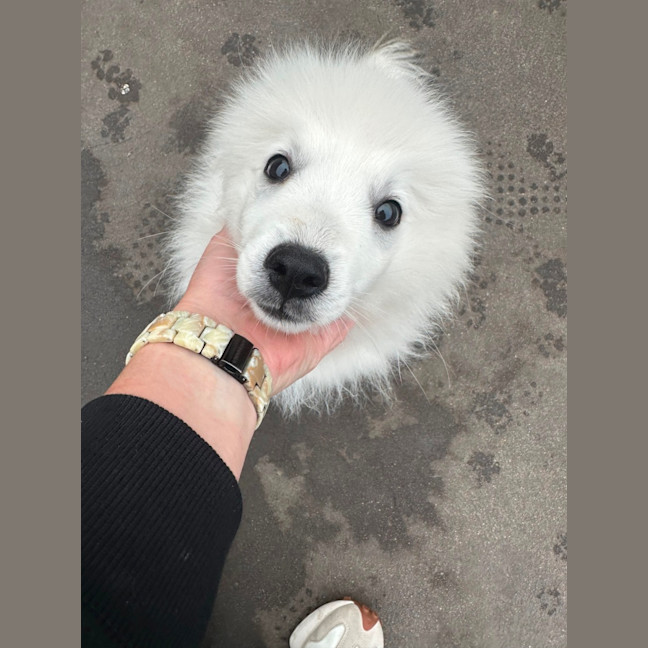 Photo of Cotton & Cloud