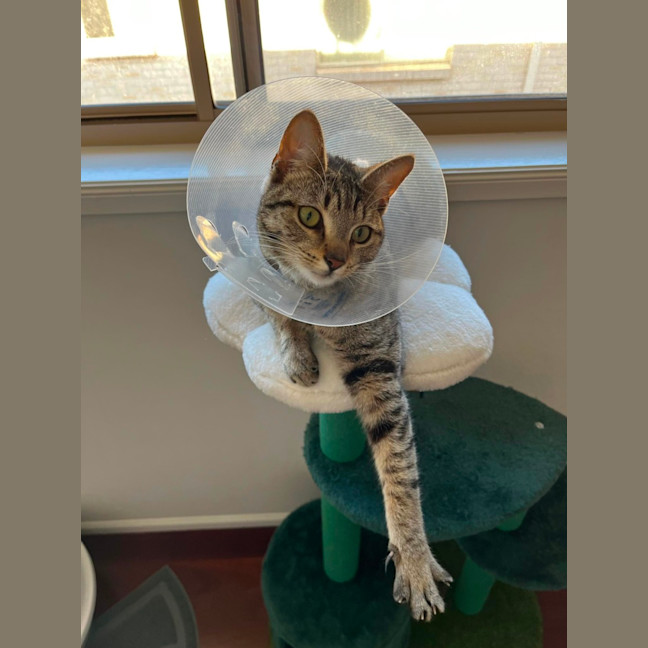 Photo of ❤️ Sarah ❤️`