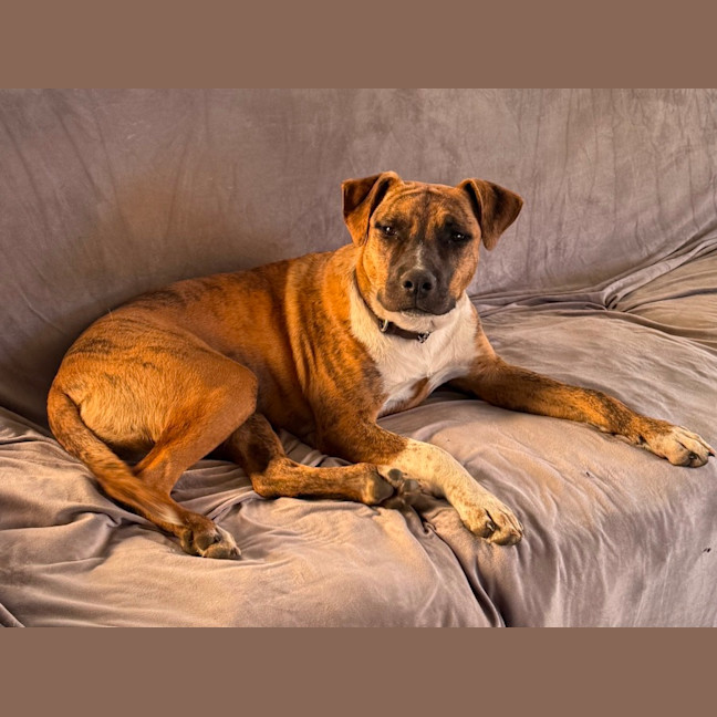 Photo of Bonnie