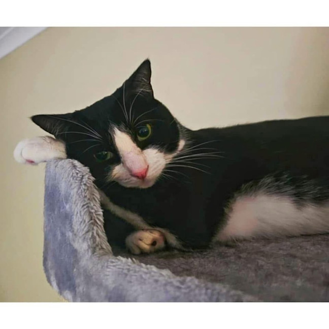 Photo of 10563   Zuko