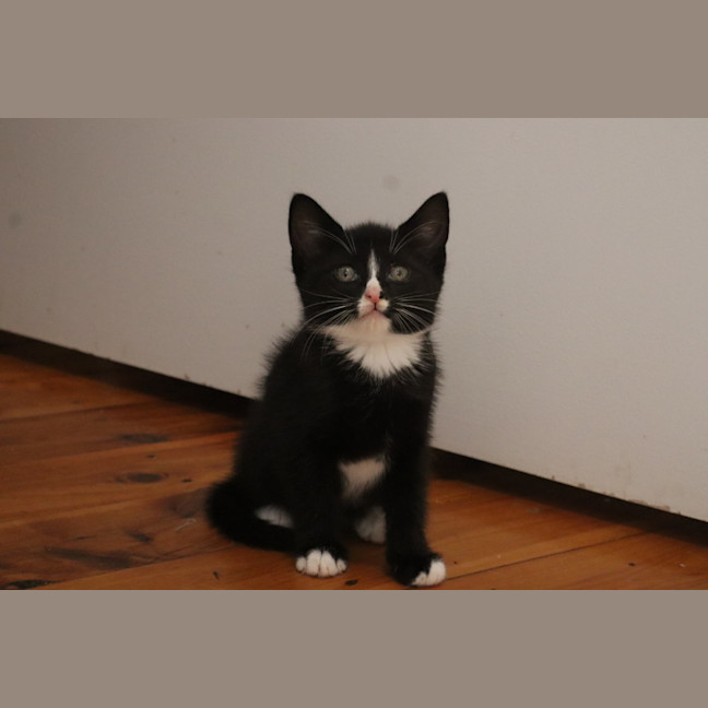 Photo of Natto