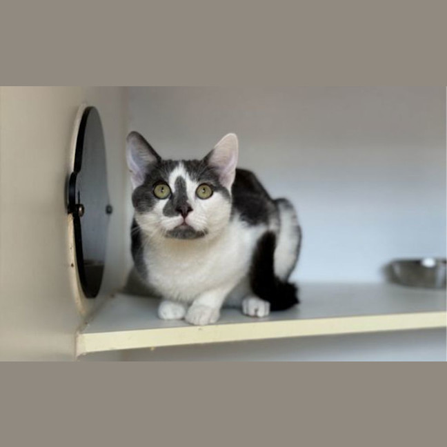 Photo of Jasper
