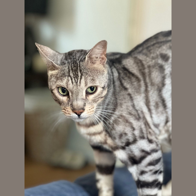 Photo of Marco