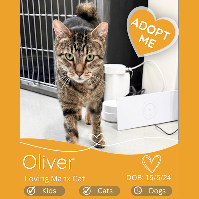 Photo of Oliver