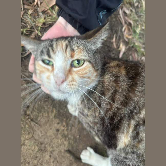 Photo of Tiny