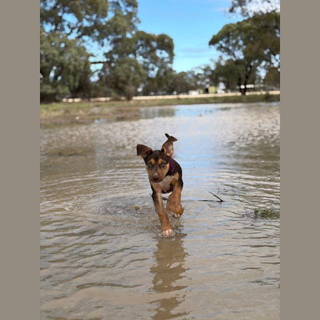 Photo of Winnie