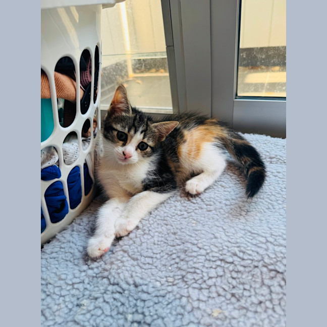 Photo of Clara