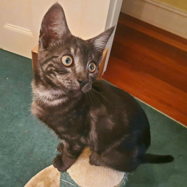 Photo of Odon   Located In Albert Park