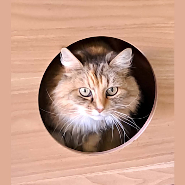 Photo of Hannah