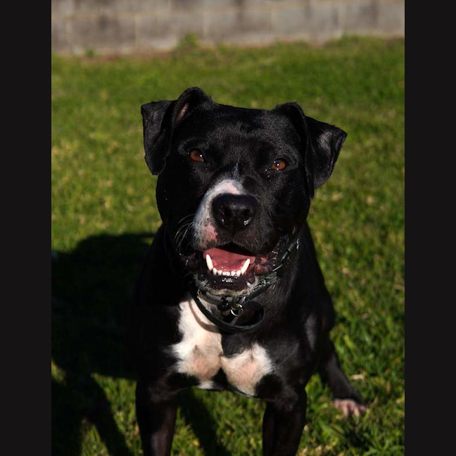 Photo of Rogan