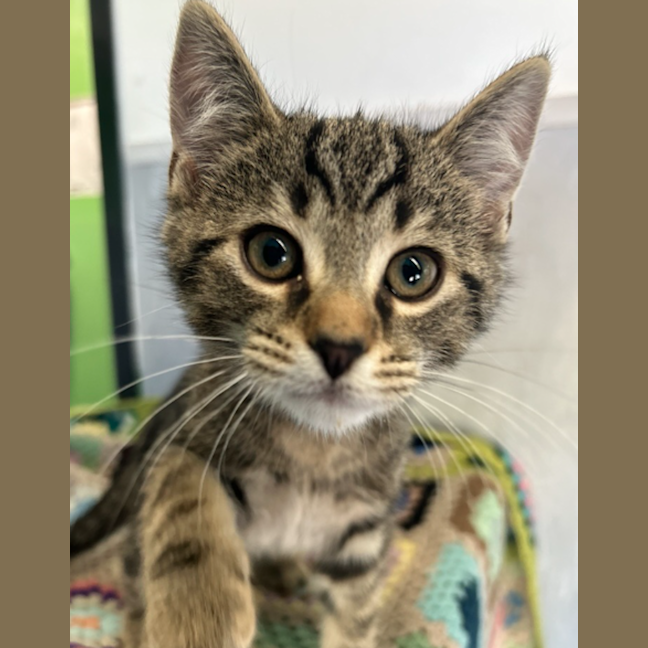 Photo of Mr. Wiggle