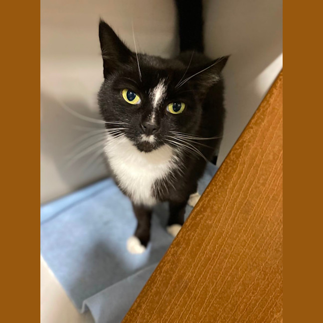 Photo of Polly