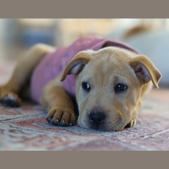 Photo of Winnie