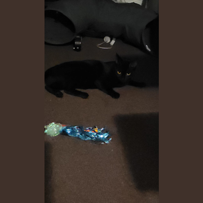 Photo of Mia