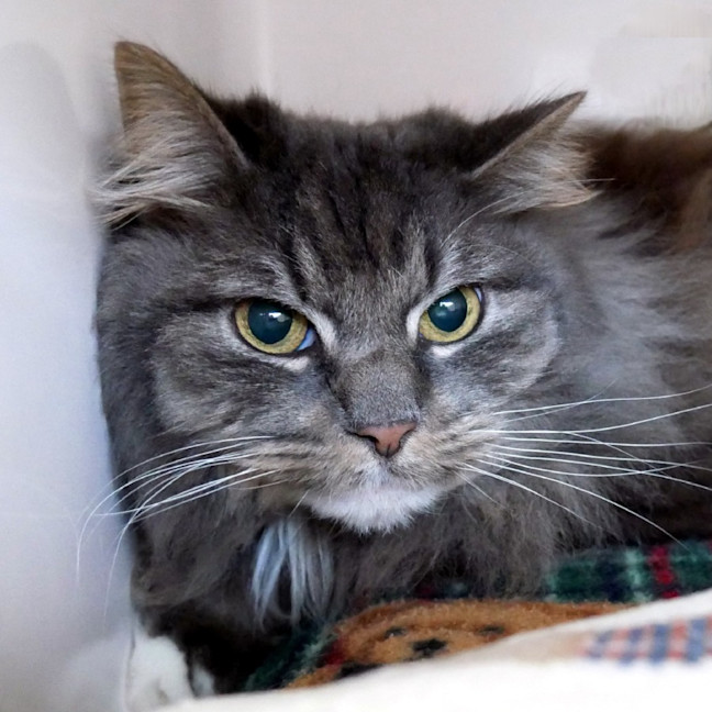 Photo of Misty Sua013013