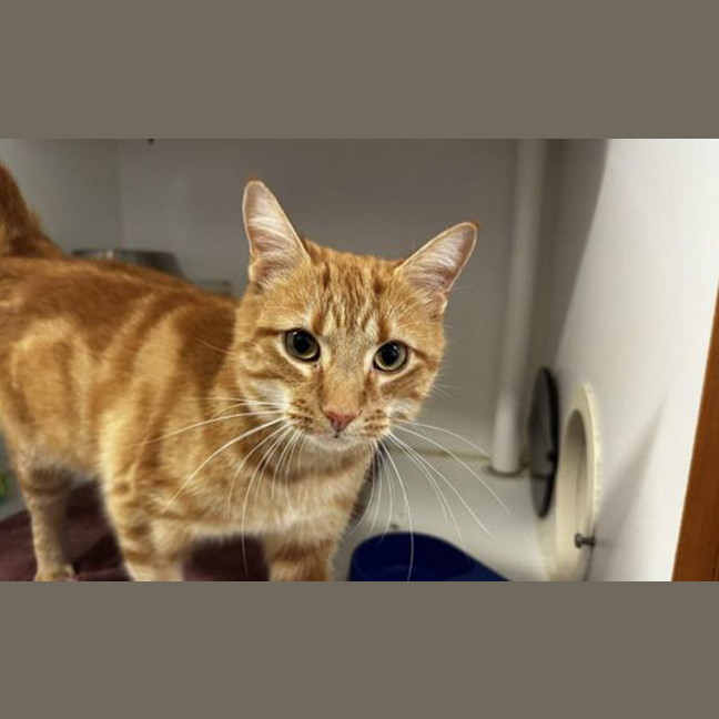 Photo of Bingo