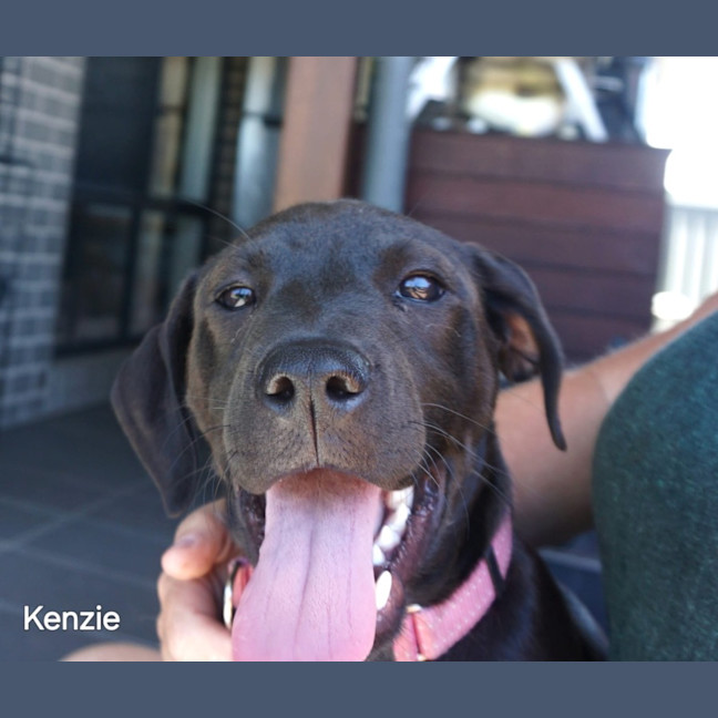 Photo of Kenzie