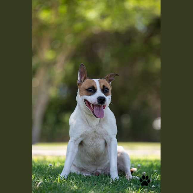 Photo of Monty