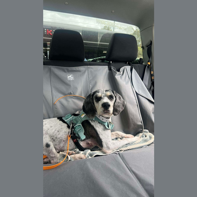 Photo of Lotus Biscoff