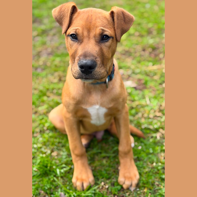 Photo of Charlie