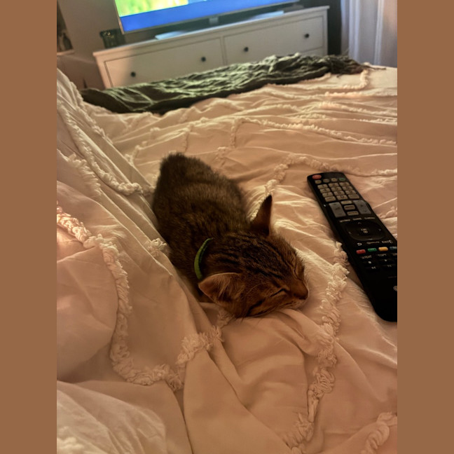 Photo of Fern