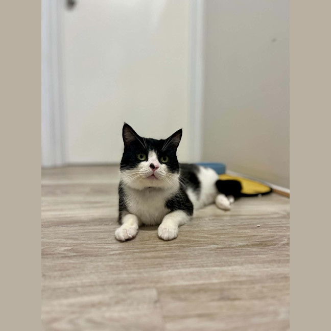 Photo of Banjo Boo 👻