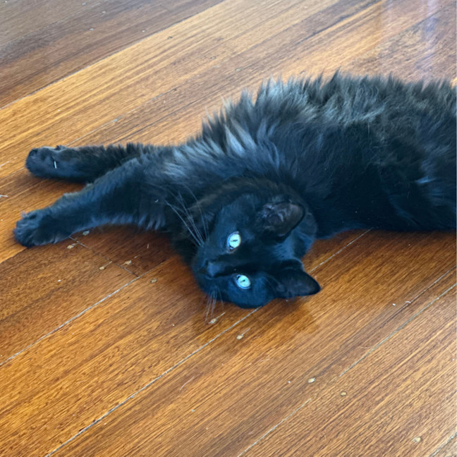 Photo of Max