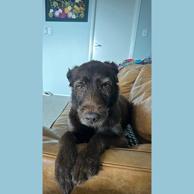 Photo of Bingo