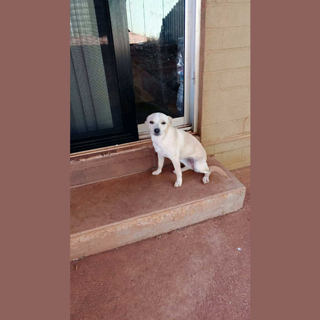 Photo of Sandy