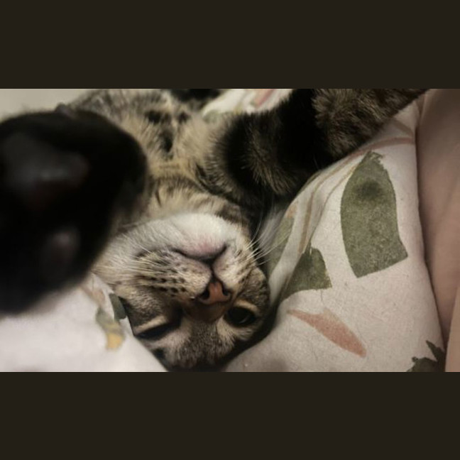 Photo of Mimi