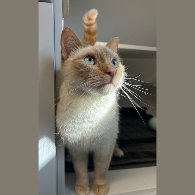Photo of Mimi