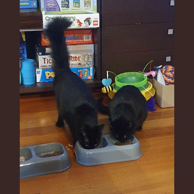 Photo of Thunder And Storm