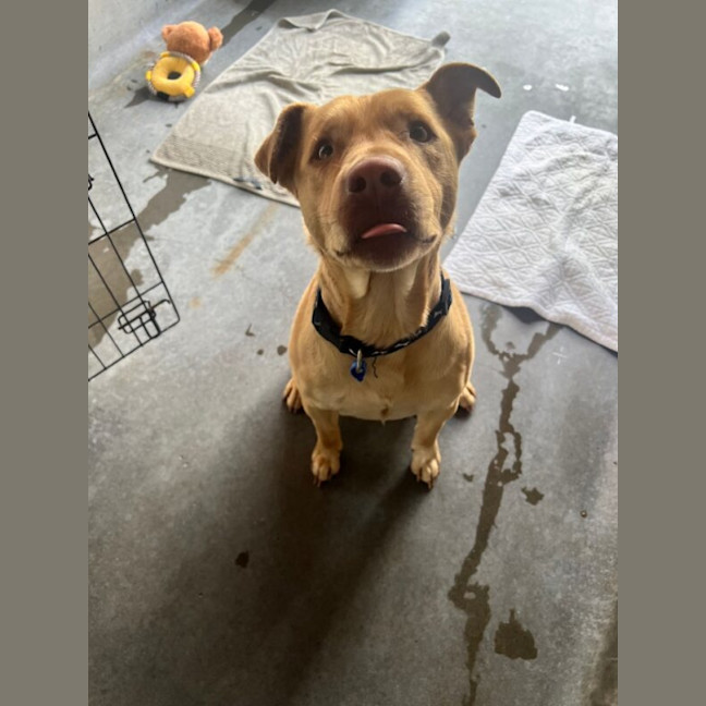 Photo of Chase