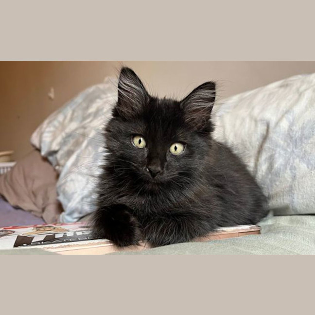 Photo of Wednesday