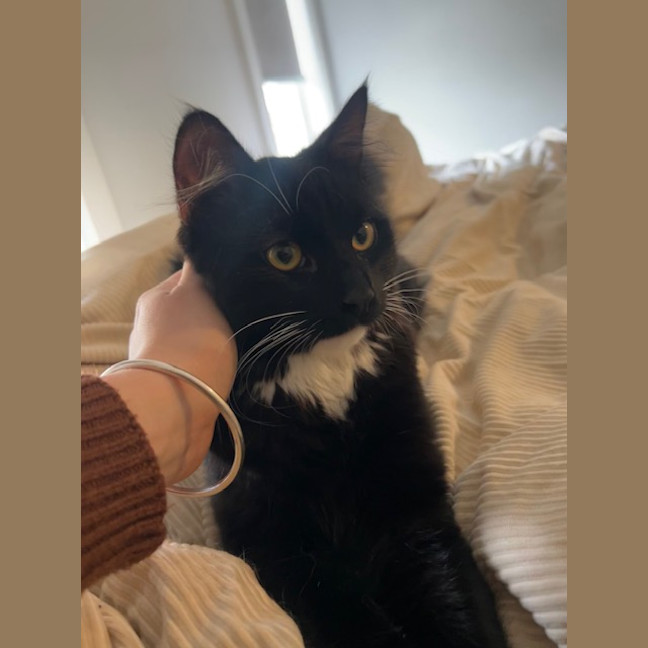 Photo of Billy