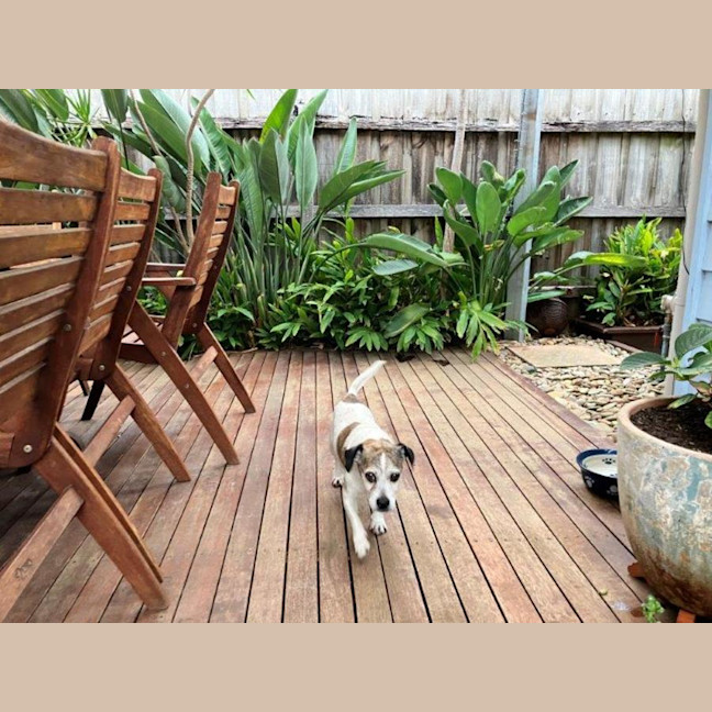 Photo of Coriolanus Snow Peggotty