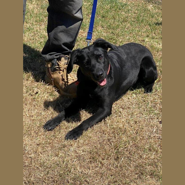 Photo of Rosie Lozano