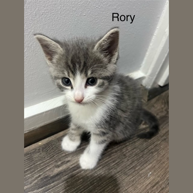 Photo of Rory
