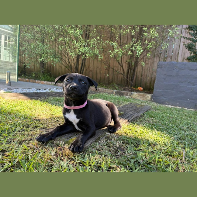 Photo of Mable