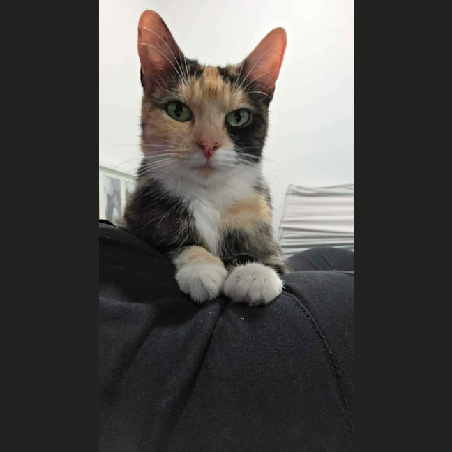 Photo of Hazel 