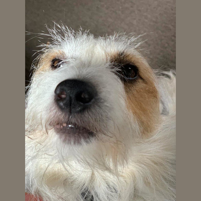 Photo of Russell Russelton