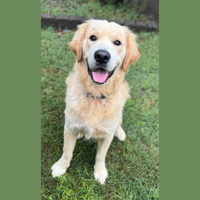 Photo of Olli