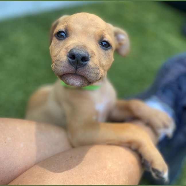 Photo of D1197 William