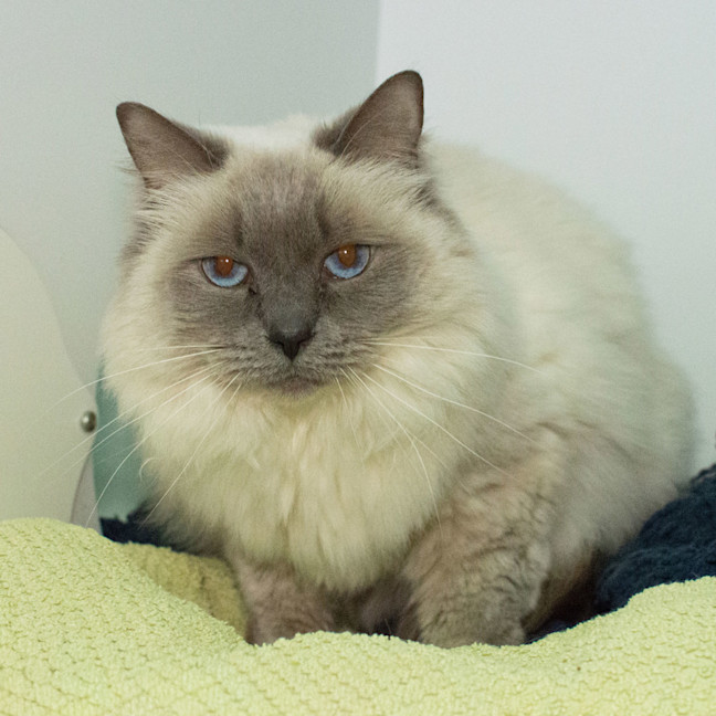 Photo of Narla