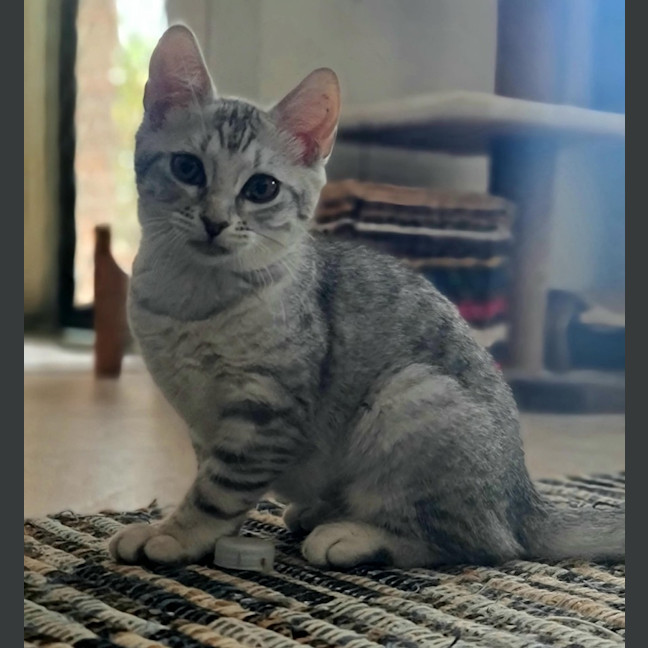 Photo of Osha & Rosemary