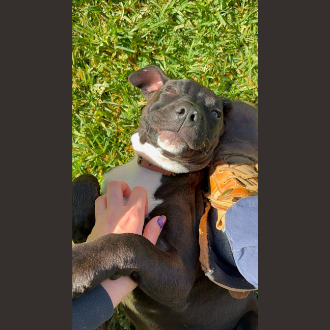 Photo of Ritz