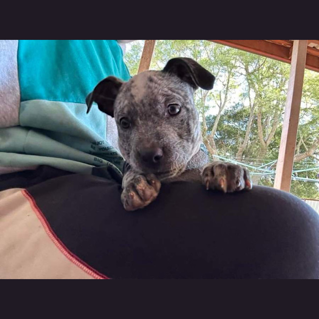 Photo of Sally