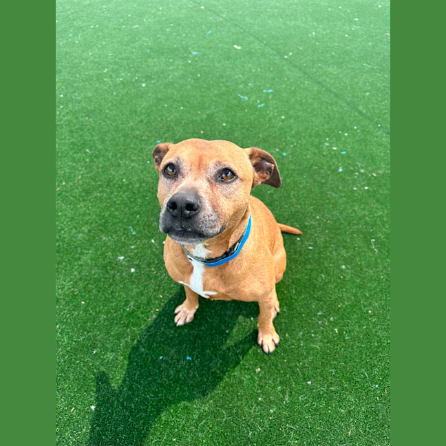 Photo of Jett Imp 2091