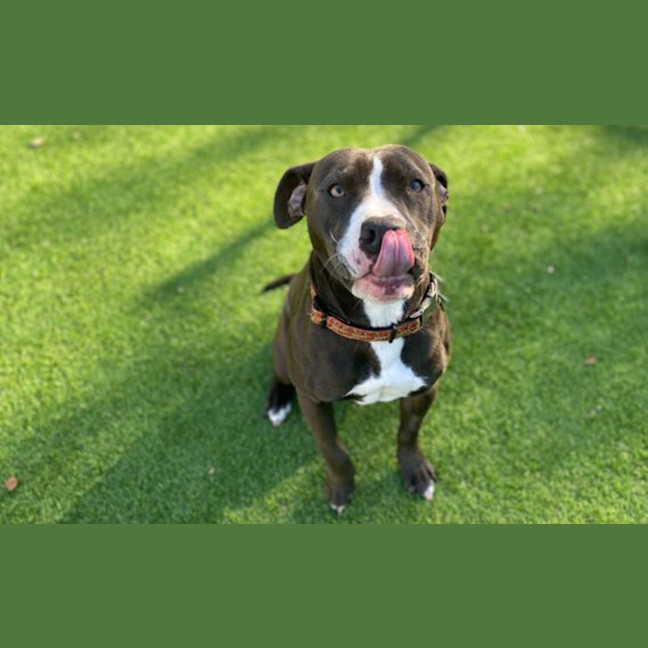 Photo of Sammy